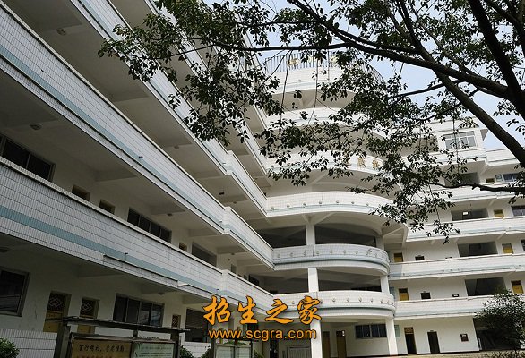 分设重庆合川区