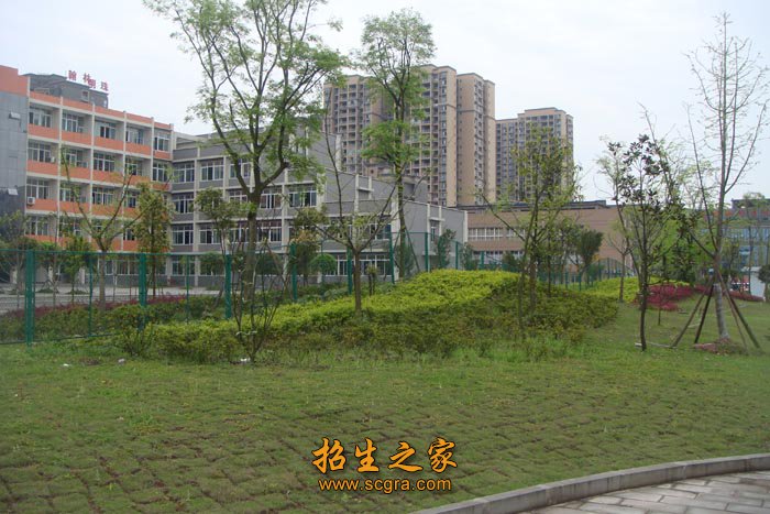 电大中专班