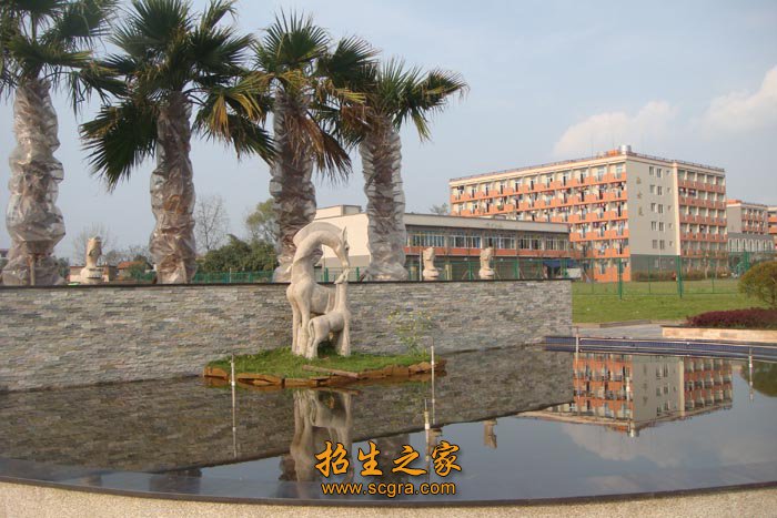集中力量办好职业澳门永利平台新手怎么
