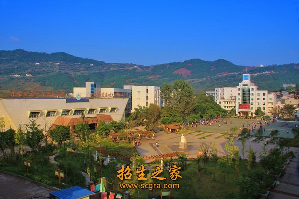 就业率100%