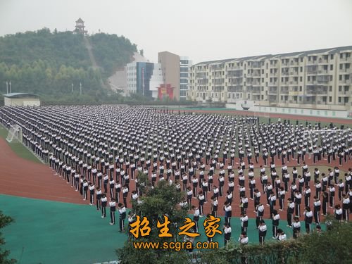 非学历澳门永利注册手机版登录每年培训