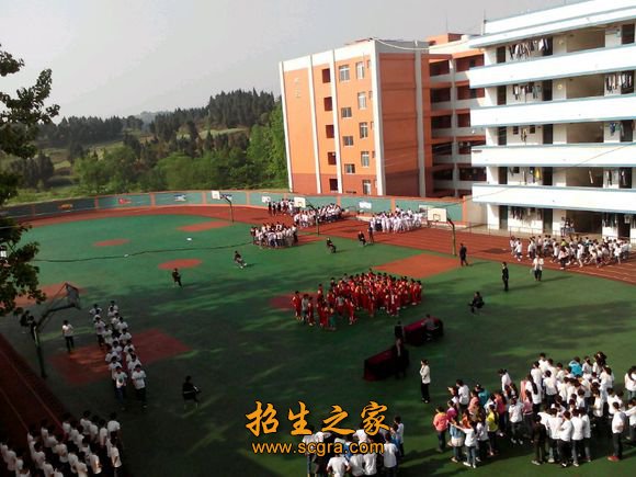动物普通病防治
