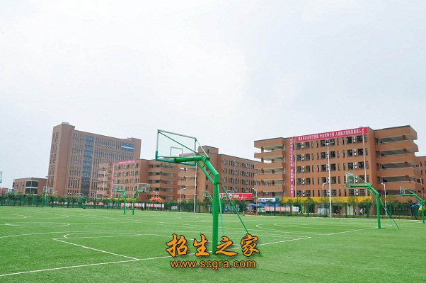 结合自身特点