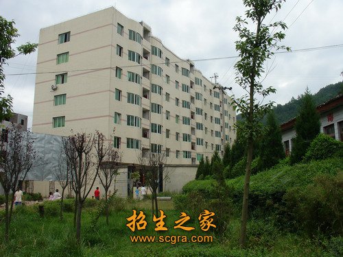 巴中市创模创安先进单位