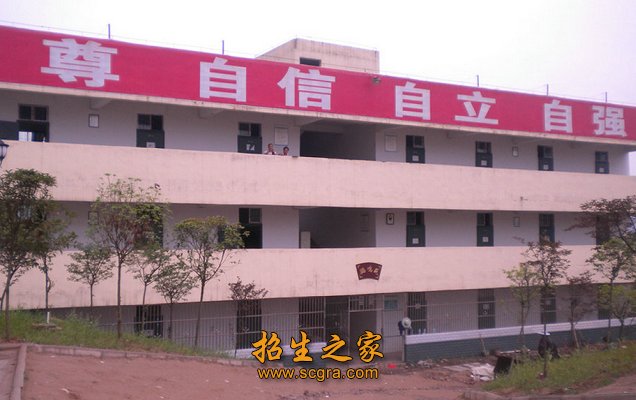 双师型老师占30%左右