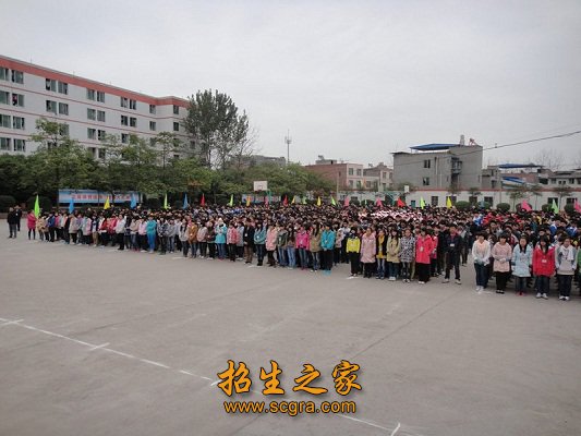 高级教师26人