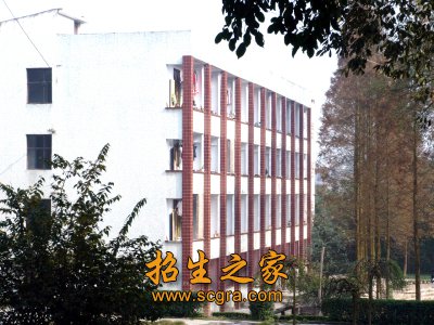 基础澳门永利平台官网玩法说明等教学单
