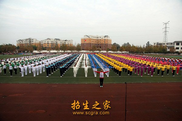 合计办学规模达11737名