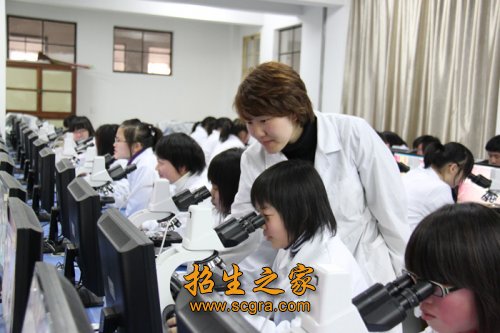 澳门永利平台手机版登录成工科技工程技
