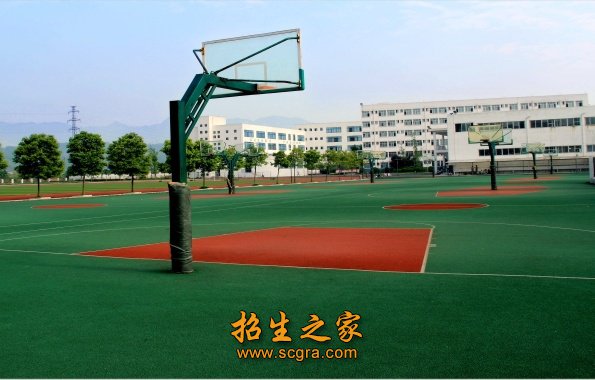 正文适合核对表述