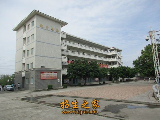 专业教师中取得专业职业资格证书的51