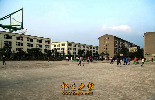同类内容两者都保留在站内即可形成完整