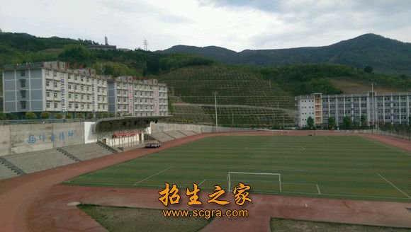正文适合核对表述