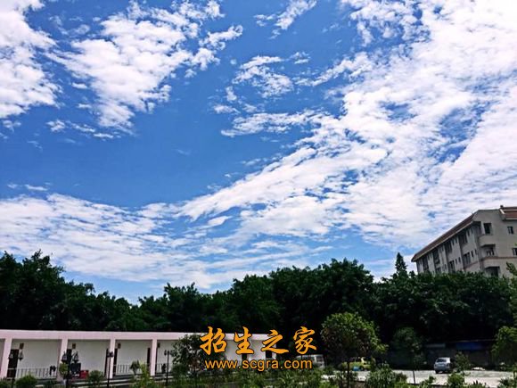 同类内容两者都保留在站内即可形成完整