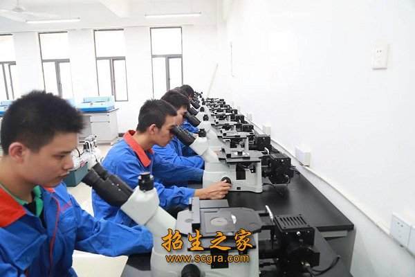 相关阅读两者都保留在站内即可形成完整
