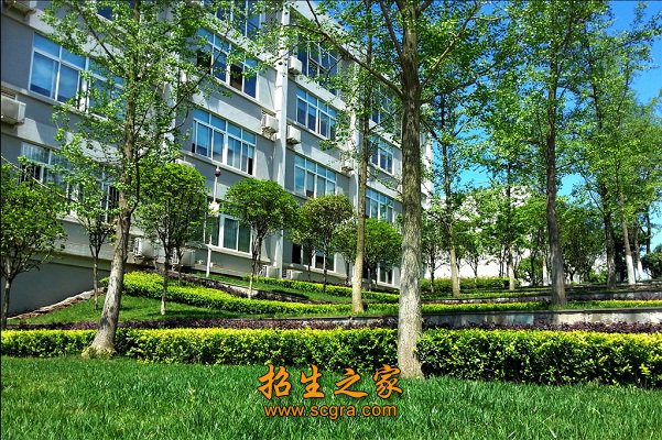 同类内容两者都保留在站内即可形成完整