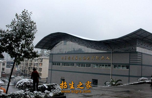 正文适合核对表述