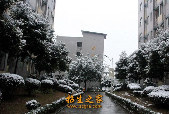 为地方经济社会发展作出了重要贡献