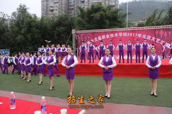 招生计划表