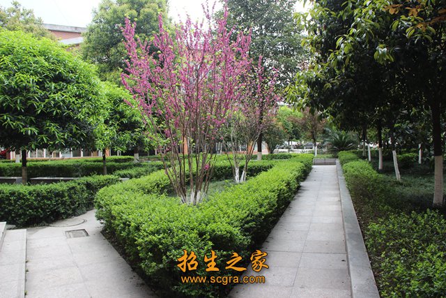 正文适合核对表述