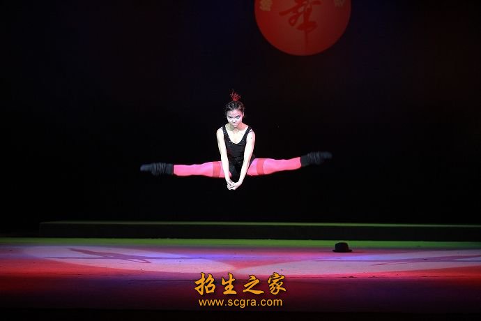 澳门永利注册官网正规渠道接受的专业