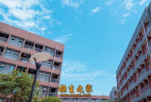 正文适合核对表述