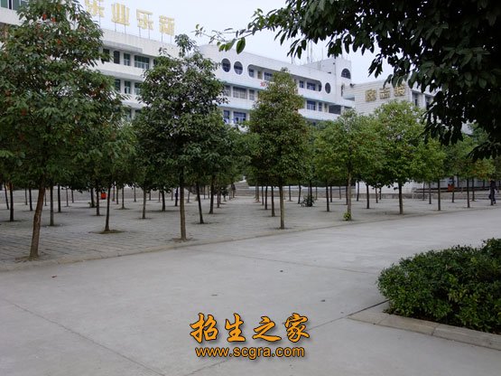 同类内容两者都保留在站内即可形成完整