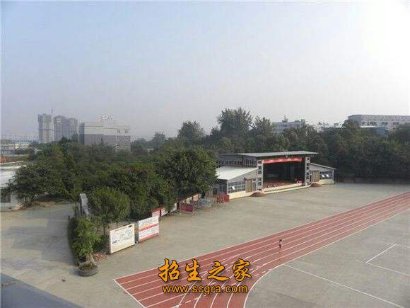 能较系统掌握中国传统康复和现代康复医