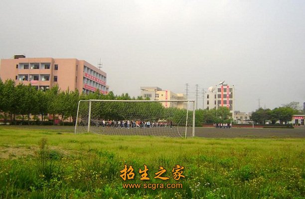 澳门永利平台app优惠活动拥有教授