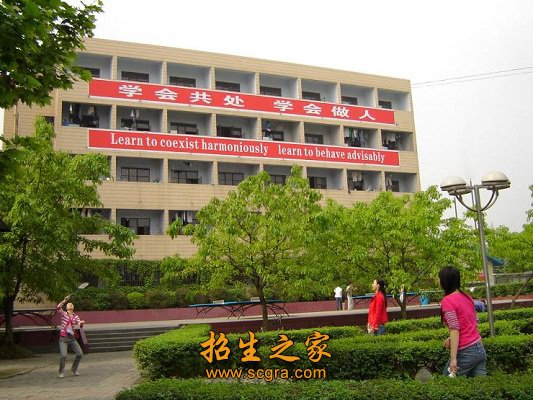 双师型教师