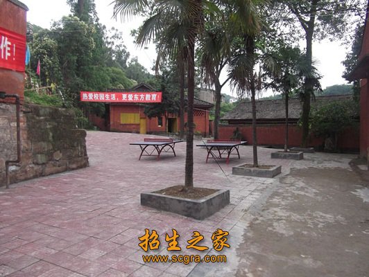 同类内容 教学直观
