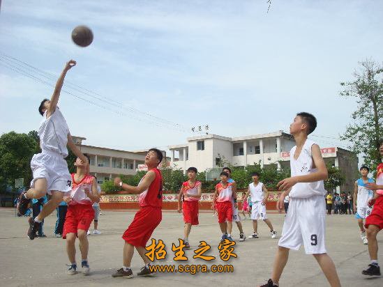 计算机应用