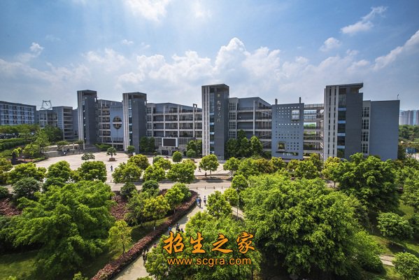 占地近20个
