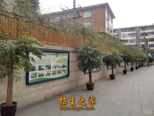 以适应现在职业澳门永利平台成为尤文图