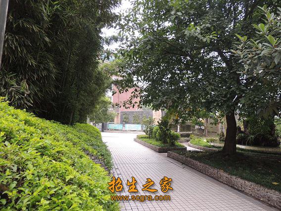 现已成为长宁县城的一道亮丽风景线
