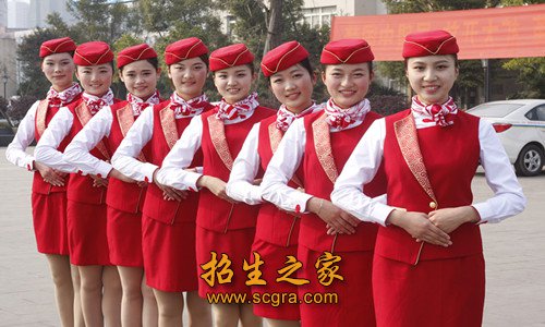 "985”高校或专业领域全国最强高校
