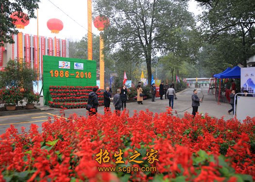 校园内绿树成荫
