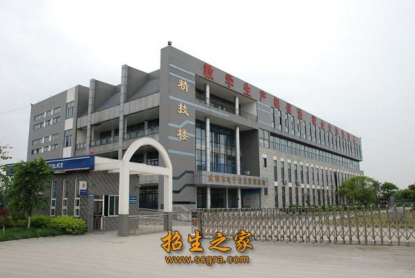 现有专任教师239人