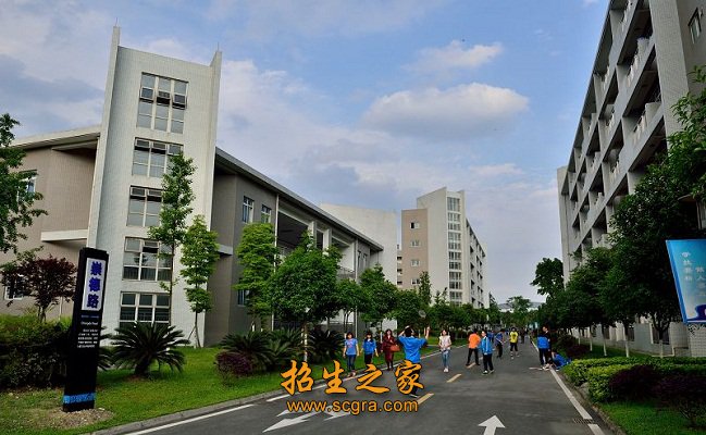 学历在校生3876人