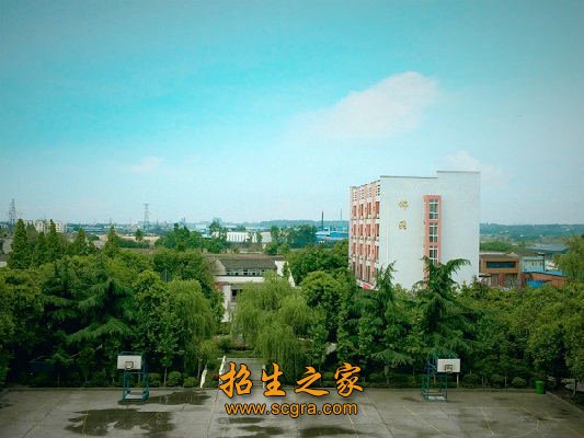 市场引校