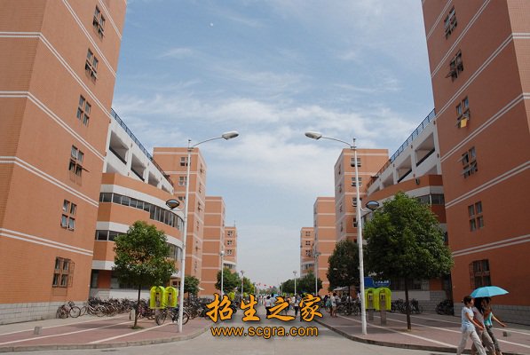 师资队伍庞大