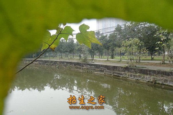 是莘莘学子潜心澳门永利注册首次注册的