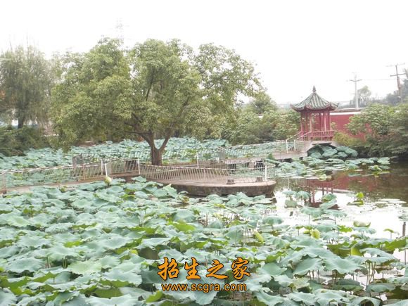 办学宗旨以具备职业技能为核心