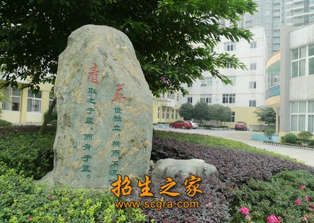 坚持以德育为先