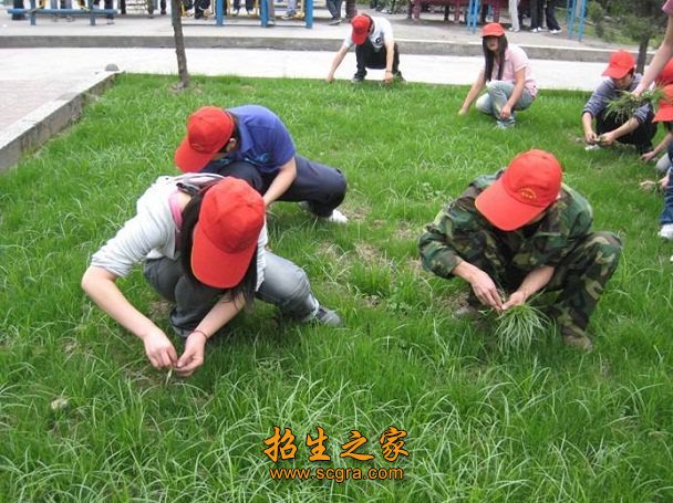 职业资格鉴定（川
