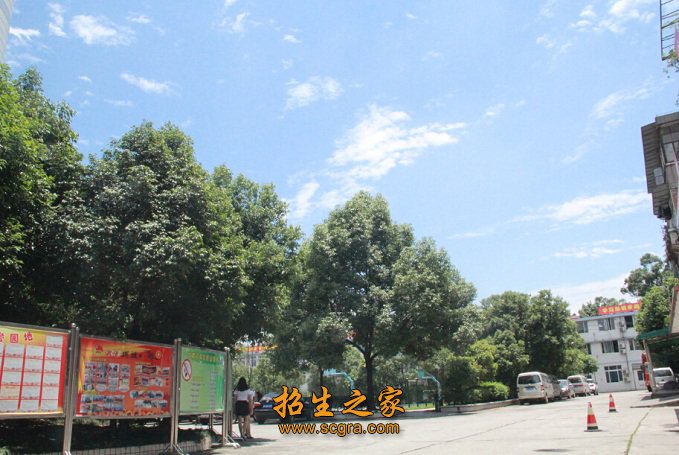 教师论文获全国