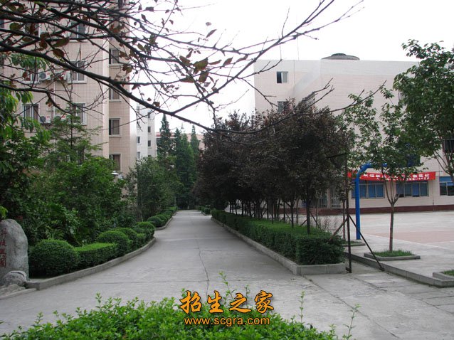 交通方便 巴塞罗那官方合作伙伴澳门永