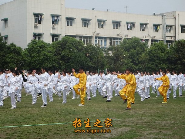 四季葱绿