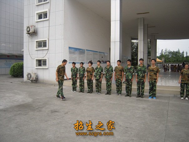 标准篮球场