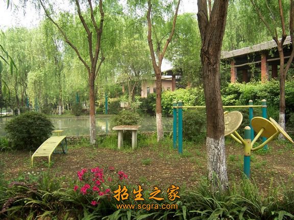 美容师证